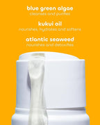 Seaweed Bath Co. Hydrate Body Wash - Citrus Vanilla | Foaming Shower Gel Cleanser with Natural Ingredients | Vegan, Paraben and Sulfate Free | For Women and Men | 12 oz (Pack of 2)