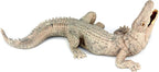 FUNSHOWCASE African Jungle Animals Gray Nile Crocodile Toy Figure Realistic Plastic Figurine Height 2.4-inch