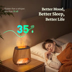 2-in-1 Ultrasonic Aromatherapy Diffuser: Essential Oil Diffuser & Himalayan Salt Lamp, Quiet Scent Diffusers for Home with Cool Mist and Timer Settings
