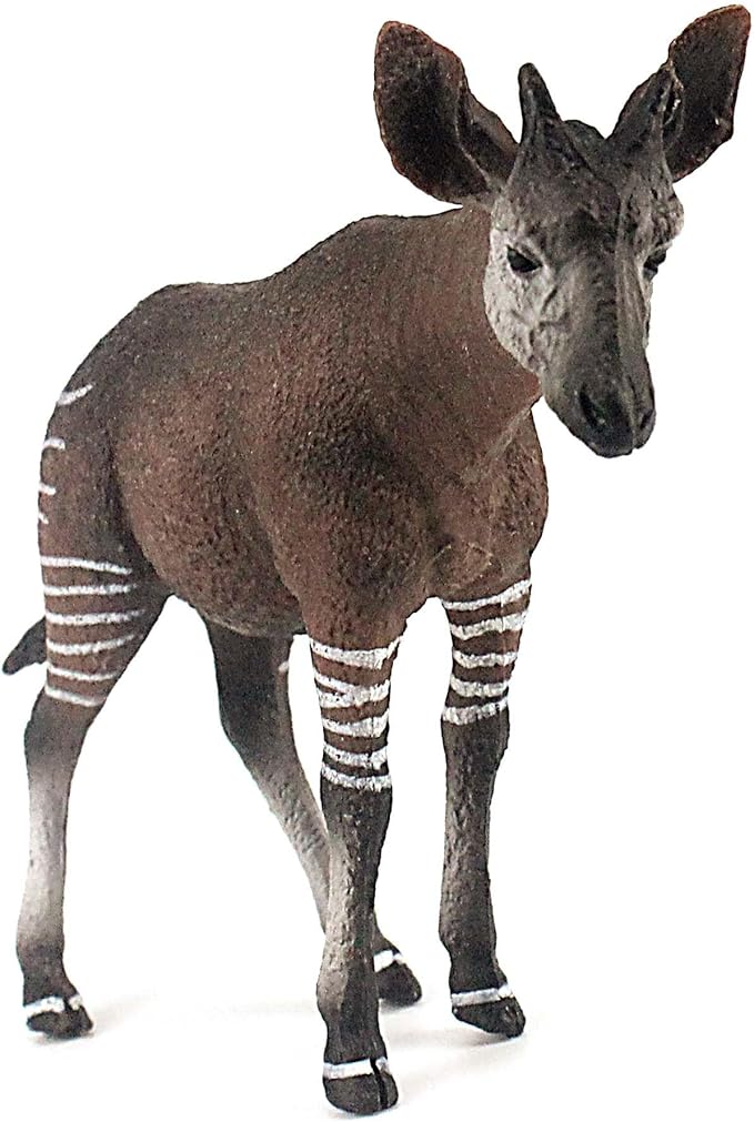 FUNSHOWCASE African Jungle Animals Male Okapi Toy Figure Realistic Plastic Figurine Height 3.5-inch