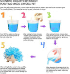 Crystal Growing Toys for Kids - Vibrant Colorful Crystal Hedgehog to Grow,Science Experiments Learning and Education for Kids STEM Gifts for Boys & Girls 8 Years + (Sky Blue)