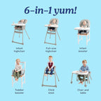 Graco Table2Table LX 6-in-1 Highchair, Willow with Infant Head Support & One-Hand Removable Tray