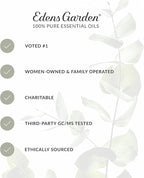 Edens Garden Detox & Cleanse Essential Oil Roll-On Blend- 100% Pure Premium Grade, Natural, Therapeutic, Aromatherapy, Kid & Skin Safe, The Best for Health, Wellness Pre-Diluted 10 ml (.33 fl oz)