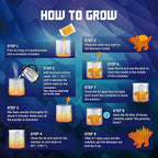 XXTOYS Crystal Growing Kit for Kids - 3 Vibrant Colored Dinosaurs to Grow - Science Kits for Kids Age 6-8, Great Gifts Toys for Boys & Girls 8-12, STEM Projects for Kid