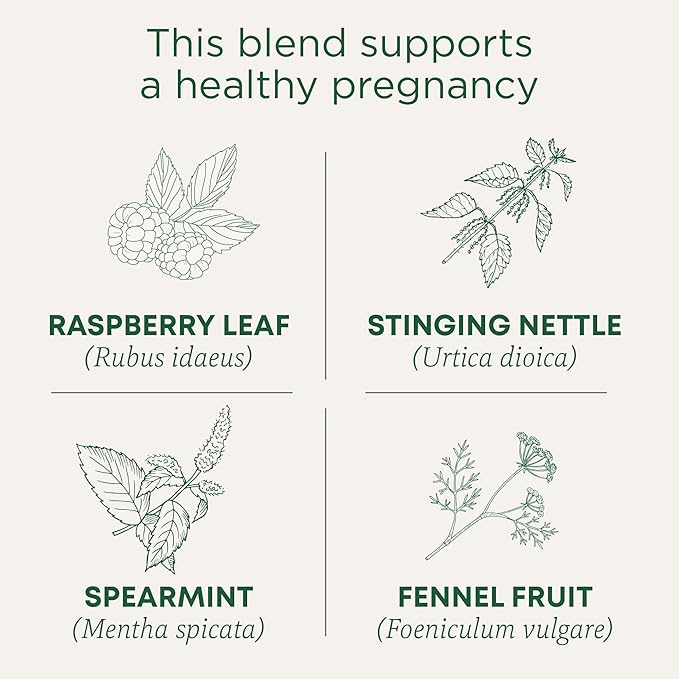 Traditional Medicinals Tea, Organic Pregnancy Tea, Supports a Healthy Pregnancy, Raspberry Leaf, Kosher, Non-GMO, Caffeine-Free, Compostable - 96 Tea Bags (6 Pack)