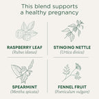 Traditional Medicinals Tea, Organic Pregnancy Tea, Supports a Healthy Pregnancy, Raspberry Leaf, Kosher, Non-GMO, Caffeine-Free, Compostable - 96 Tea Bags (6 Pack)