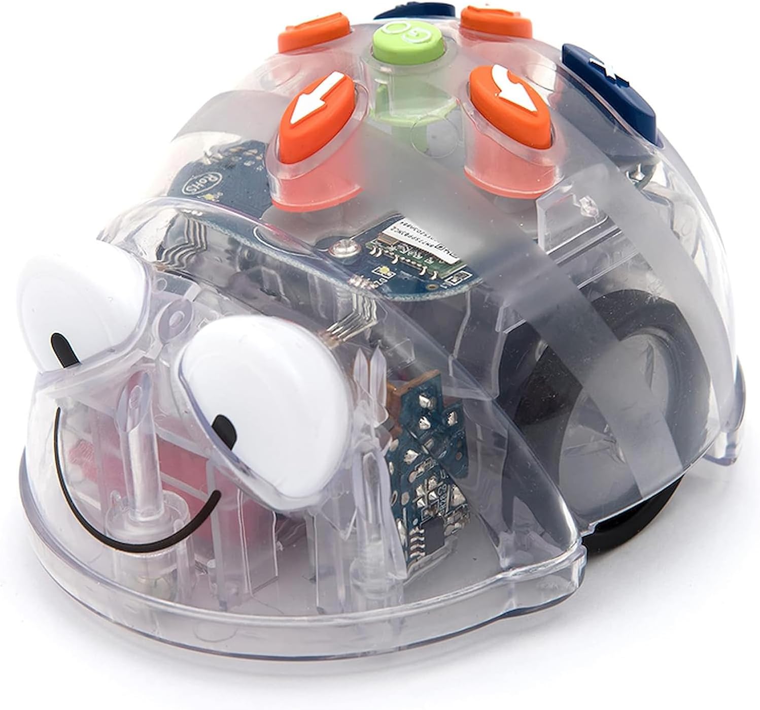 Create & Debugging Basic Robotics Programs: Blue-Bot Programmable See & Say Version