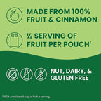 GoGo squeeZ Applesauce and Fruit Puree, Apple Cinnamon, 3.2 oz (Pack of 48), Unsweetened Fruit Snacks for Kids, Gluten Free, Nut Free and Dairy Free, BPA Free Pouches (Packaging May Vary)