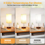 aooshine Red Brown Small Table Lamp for Bedroom - 3 Color Temperature 3000K 5000K 4000K Bedside Lamp, Pull Chain Control, USB A and C Ports, Pure Gold Color Base, Bulb Included
