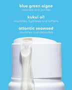 Seaweed Bath Co. Hydrate Body Wash - Unscented - Foaming Shower Gel Cleanser with Natural Ingredients - Fragrance Free and Gentle - Good For Sensitive Skin - 12 oz