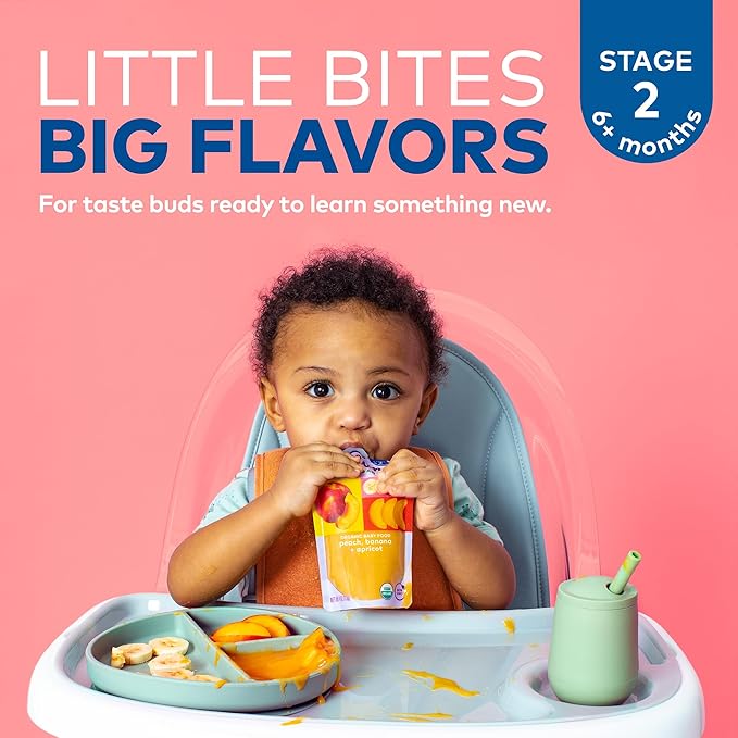 Plum Organics Stage 2 Organic Baby Food - Apple, Blackberry, Coconut Cream, and Oat - 3.5 oz Pouch (Pack of 12) - Organic Fruit and Vegetable Baby Food Pouch