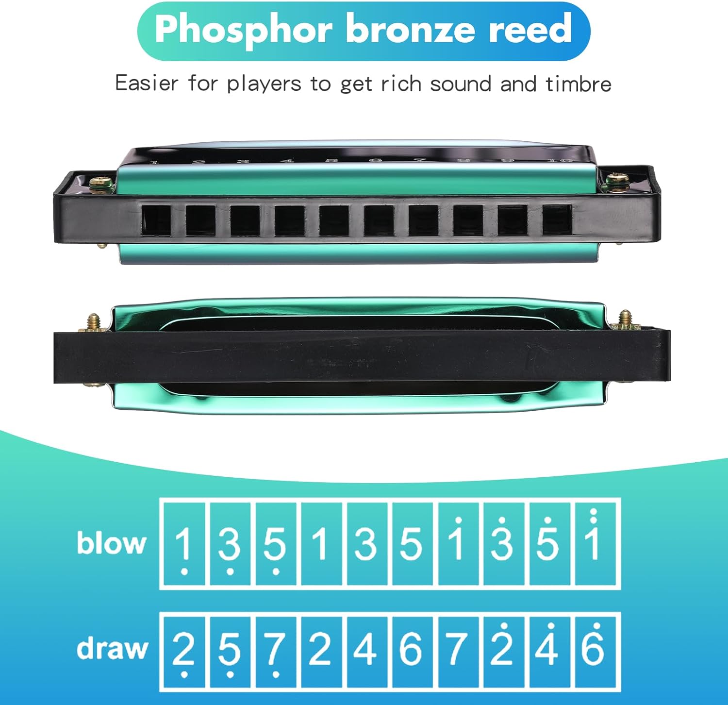 12 Pcs Harmonica Set 10 Hole 10 Hole 10 Tones Titanium Color Harmonica with Case Diatonic Chromatic Harmonica Musical Mouth Organ for Beginner Students Adults Instruments Gifts, 4 Colors