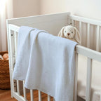 Baby Blankets for Boys, Soft Nursery Minky Blankets with Muslin and Dotted Fleece Back 30x40 inches, Receiving Bed Quilt for Newborn, Infants, Toddlers (Light Blue)