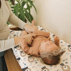 BROLEX Changing Pad Covers for Baby: Boy Girls Ultra Stretchy Soft 2 Pack Dinosaur Lion