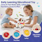 HOLA Baby Toys 6-12 Months Musical Dancing Puppy Tummy Time Toy, Toddler Learning Toys for 1 Year Old Girl Boy, 1st Birthday Gift for Boys & Girls Christmas Stocking Stuffers