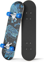 24 inch Rude Boyz Mini Cruiser Skateboard - Aluminium Trucks - Kids Skateboard Ages 5-8 Beginner - Skateboards for Kids