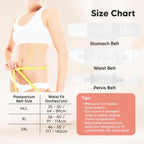3 in 1 Postpartum Belly Support Recovery Wrap – Postpartum Belly Band, After Birth Brace, Slimming Girdles, Body Shaper Waist Shapewear, Post Surgery Pregnancy Belly Support Band (Matte White, M/L)