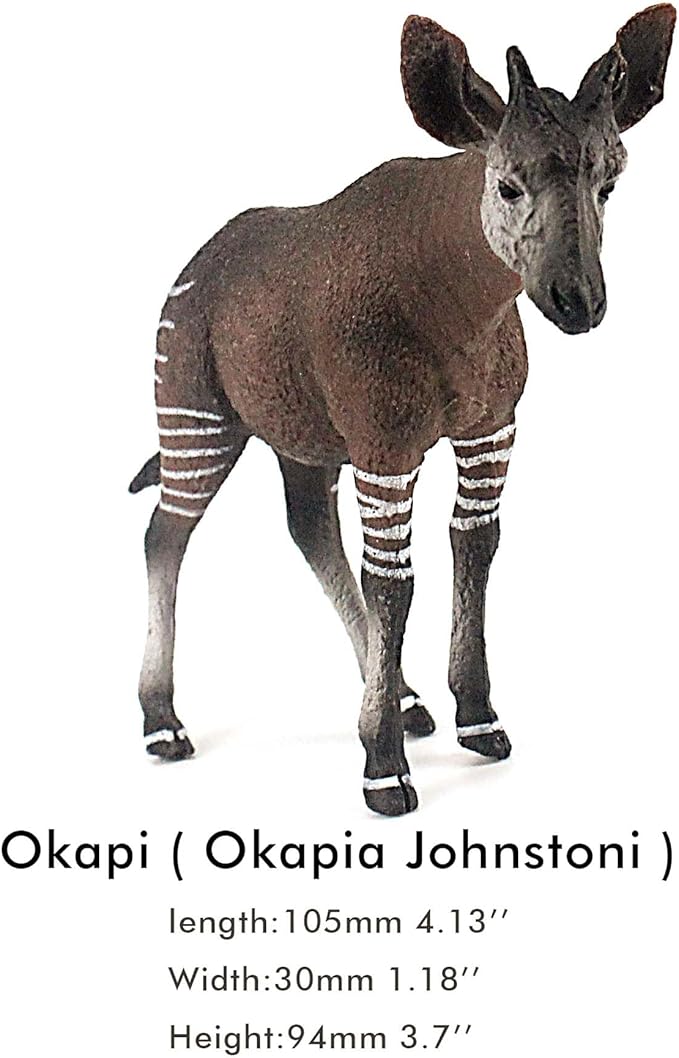 FUNSHOWCASE African Jungle Animals Male Okapi Toy Figure Realistic Plastic Figurine Height 3.5-inch