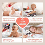 hahaland High Contrast Baby Toys for Newborn - Infant Baby Black and White Sensory Newborn Toys for Brain Development Montessori Tummy Time Toy for 0 3 6 Months
