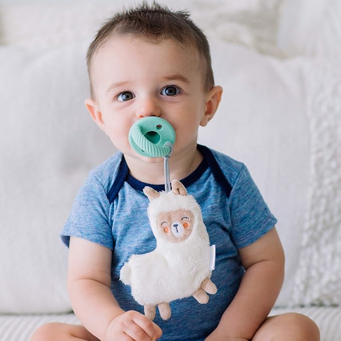 Itzy Ritzy Pacifier & Lovey Set - Includes Silicone Pacifier with Stuffed Animal Lovey - Detachable Plush Llama Binky Holder & Coordinating Mint Silicone Binky, Ideal for Ages 0 Months & Up