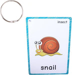 SANTSUN 14 Insects and Bugs Flashcards for Kindergarten Classroom Decoration Background Wall Stickers Teach Flash Card & Daycare Decorations Learning Cards