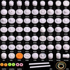 Plastic Gear Set, 75Pcs Single Double Reduction Gear Worm Gear for DIY Car Robot QY12