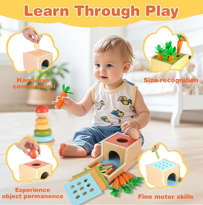 Wooden Montessori Learning Toys Kit,Babies Toys Set for 1 Year Old, Sensory and Thinking Play kit for Toddlers (Boys and Girls). 4 in 1 Drop Box; Rocking Stacker; Bead Maze.