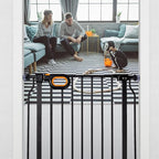 Baby Safety Gate for Stairs 29-33 Inch Wide, Safety House Gate for Baby Pet Gate with Door Pressure Mounting Gates for Kids Toddler Dogs Indoor Stairway Doorway Black (30.5'' Tall)