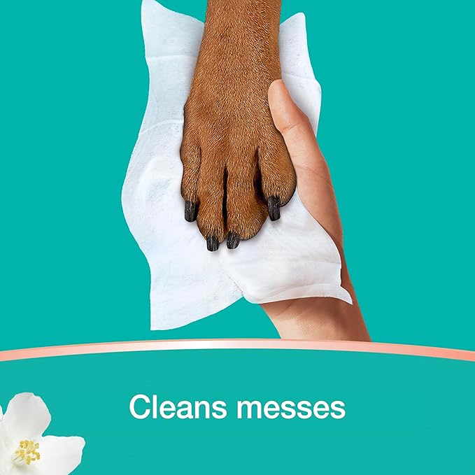 Pampers Wipes, Clean & Calm, Cotton Blossom Scent, 168 Wipes Total (3X Pop-Top Packs)