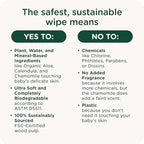 Our Wet Wipes | EWG Verified Safe | 100% Water & Plant Based | Unscented & Safe for Sensitive Skin | Fragrance Free and Totally Chlorine Free (8 packs, 512 wipes)