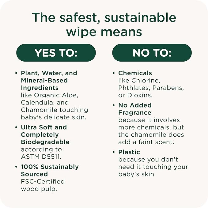 Our Wet Wipes | EWG Verified Safe | 100% Water & Plant Based | Unscented & Safe for Sensitive Skin | Fragrance Free and Totally Chlorine Free (8 packs, 512 wipes)