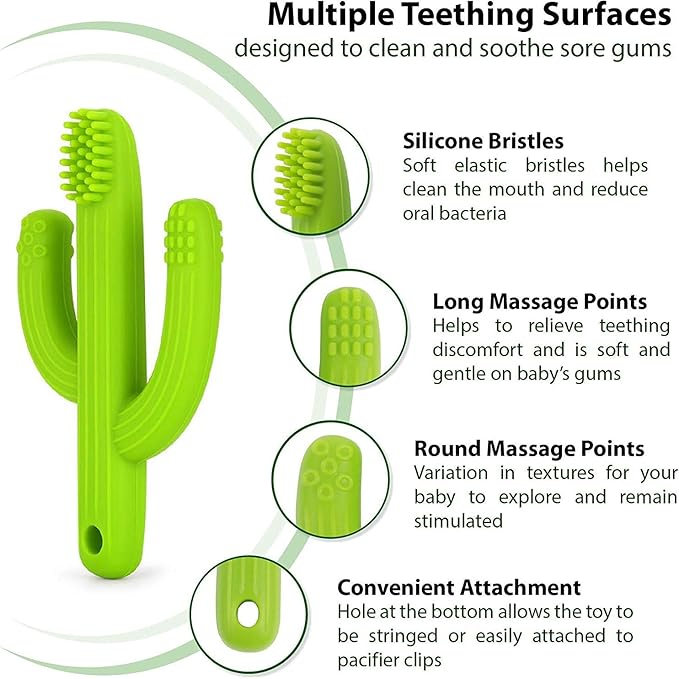 Cactus Teether, Baby Teething Toys for Babies 0-6 Months 6-12 Months, Self-Soothing Pain Relief Soft Baby Toothbrush for Babies, Toddlers, Infants, Boy and Girl, Natural Organic BPA Free(Green)