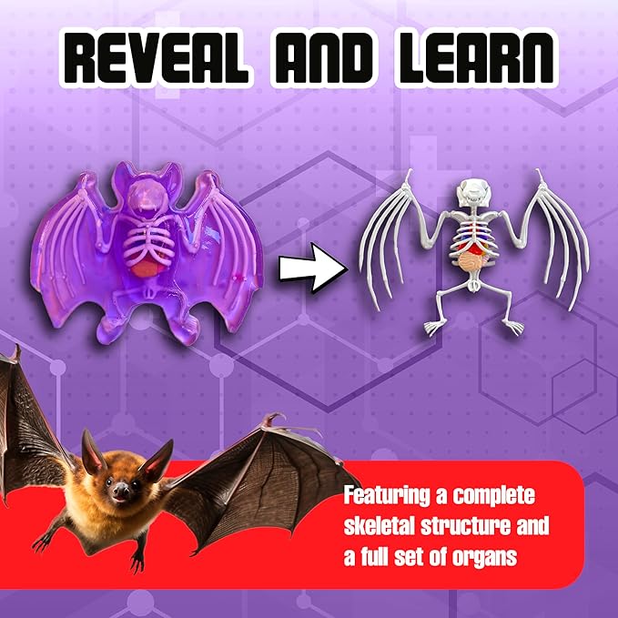 Dissect-It Simulated Synthetic Lab Dissection Toy, STEM Projects for Kids, Animal Science, Biology, and Anatomy Home Learning Kit, Bat