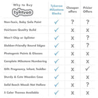 Baby Monthly Milestone Blocks — Cute Nursery Decor — Lovely Newborn Photography Props — Baby Shower Gifts (Blue & Gray)