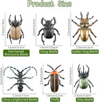 Toymany 12PCS Realistic Insects Figurines Toys - Plastic Bugs Figures Set with Cricket Bee Ant Dung Beetle, Educational Halloween Toy Cake Toppers Christmas Birthday Gift for Toddlers Kids