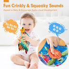 hahaland Baby Books 0-6 Months - 2 PCS Sensory Montessori Toys for Babies 0-6 Months with Crinkle Squeaky Sounds, Mirrors, Teethers - Soft Cloth Tummy Time Book Newborn Infant Toys