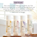 The Honest Company Silicone-Free Conditioner | Gentle for Baby | Naturally Derived, Tear-free, Hypoallergenic | Lavender Calm, 10 fl oz