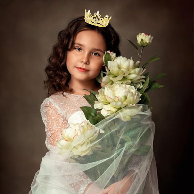 CAVETEE Mini Crown Cake Topper, Small Princess Tiara Crystal Crown Flower Bouquets Accessories for Cake Topper, Flower Arrangements and Decorations (gold)