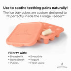 Moss and Fawn Little Explorer Kit - Silicone Frozen Breast Milk Popsicle Kit with Forage Feeder, Teething Popsicle Ice Cube Tray, & Gather & Roll Baby Feeding Bib - BPA, PVC, & Lead-Free - Bloom