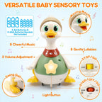 LUDILO Infant Baby Toys 6-12 Months: Musical Crawling Duck Toy Must Have 5 6 7 8 9 10 12 18 Month Old Baby Toy 0-6-12-18 Month Newborn Tummy Time Toys for 1 Year Old Boy Girl Gifts Stocking Stuffers