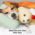 KeaBabies Toddler Pillow with Pillowcase, Jumbo 14X20 - Soft Organic Cotton Toddler Pillows for Sleeping - Machine Washable - Perfect for Travel, Toddler Bed Set (Sage)