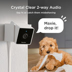 Petcube Cam The Pack of 2 | Indoor Wi-Fi Pet Security Camera with Phone App, 2-Way Audio and Video, Night Vision, 1080p HD Video and Smart Alerts