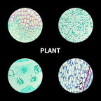 100Pcs Prepared Microscope Slides Set Professional Specimens for Kids Student Homeschool Use