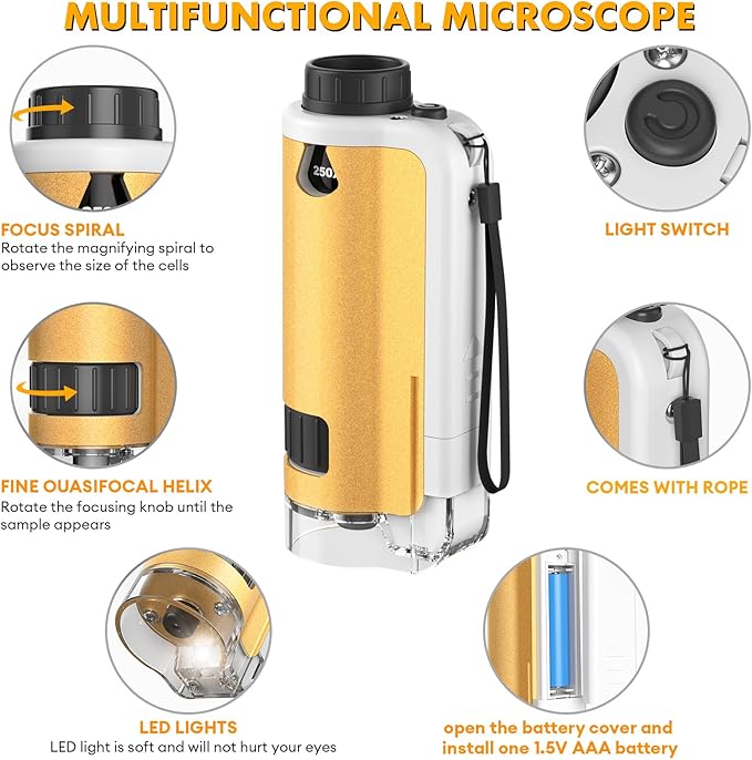 Portable Microscope for Kids, 100x-250x Zoom with LED Lights, Alloy Pocket Microscope for Boys & Girls, Educational Science Kit (Gold)