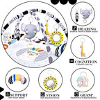 Baby Gym Play Mat, 8-in-1 Tummy Time Mat & Activity Gym, Washable Ball Pit, Infant Play Mat with Detachable Toys for Sensory Exploration and Motor Skill Development