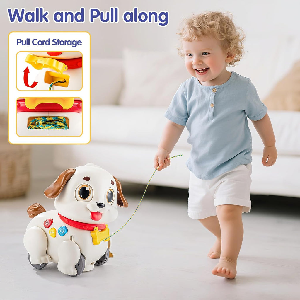 HOLA Baby Toys 6-12 Months Musical Dancing Puppy Tummy Time Toy, Toddler Learning Toys for 1 Year Old Girl Boy, 1st Birthday Gift for Boys & Girls Christmas Stocking Stuffers