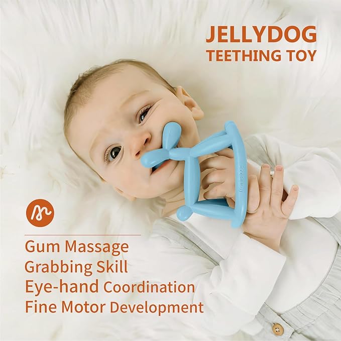 Baby Teether Toys for Teething Relief, Teething Toys 3-6 Months Food Grade Silicone Teether with Storage Box and Pacifier Clip, Baby Essential (Mint Green Clip+Box)