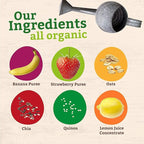 Peter Rabbit Organics SUPER Oats & Seeds, Apple & Blueberry, 4 oz Pouches, (Pack of 10)