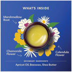 Motherlove Everyday Baby Balm (2oz) Plant-Based, All-Natural Baby Essential for Newborns, Infants, & Toddlers—Moisturizing Herbal Salve w/Calming Chamomile—Non-GMO, Organic Herbs, Cruelty-Free