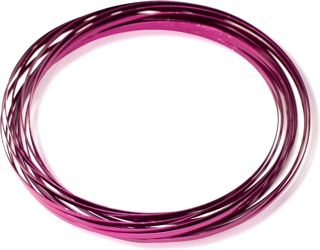 Digital Energy Kinetic Educational Spring Toy - Multi Sensory Interactive 3D Shaped Flow Ring ()